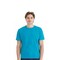 Hanes Eco smart Cotton Blend T-Shirt for Daily Wear, Casual Use & Printing